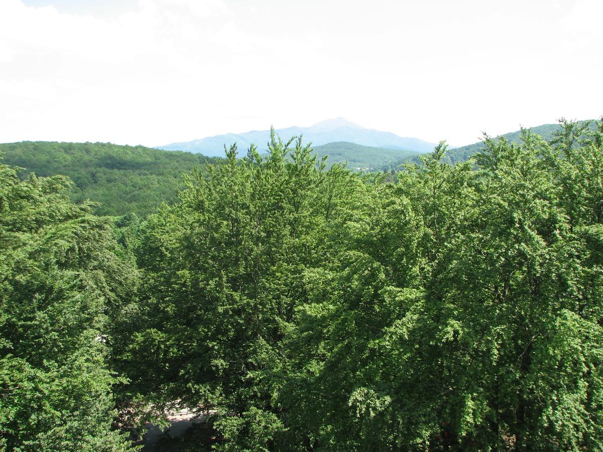 Apartment Vito Plitvicka Jezera Bagian luar foto